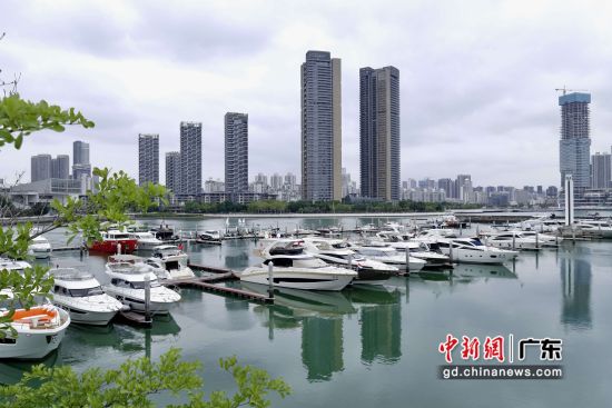 图为第十二届深圳湾国际游艇展。 作者 陈文