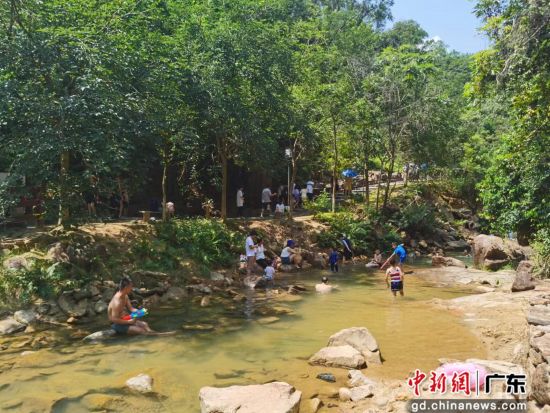白江湖森林公园吸引游客戏水。广州市林业和园林局 供图