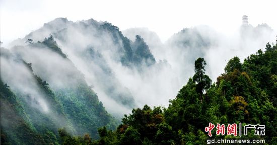 广东南岭国家级自然保护区。广东省林业局 供图