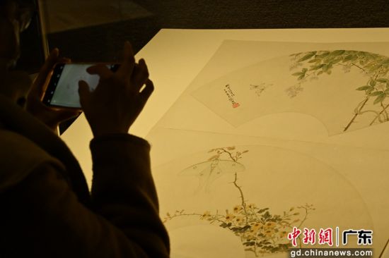 图为展览展出的容祖椿作品《自庵花卉扇册》吸引参观者拍照。陈楚红 摄
