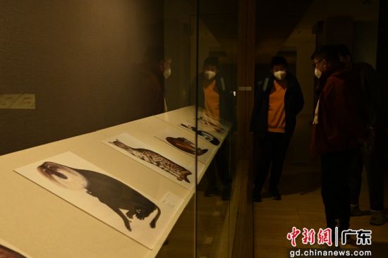 图为“格物・求真――博物学视角下的岭南绘画”展览吸引参观者。陈楚红 摄