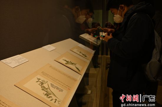 图为展览展出的黄士陵《粤中花木册》吸引参观者。陈楚红 摄