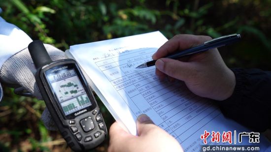 外业调查登记。广东省林业局 供图