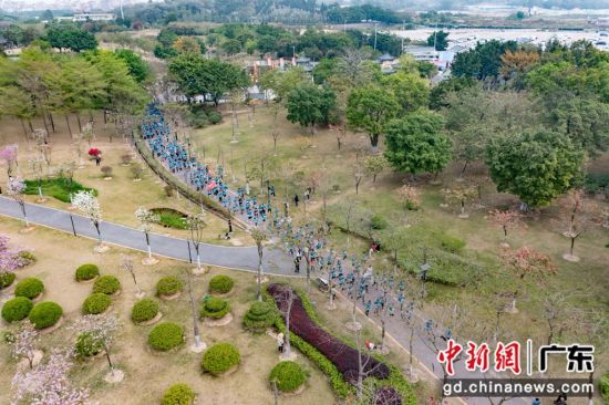 逾60家互联网企业相聚广州白云湖开展欢乐跑