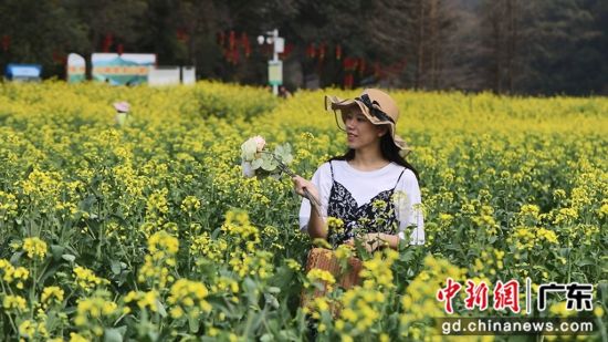 广州石门国家森林公园油菜花吸引游客打卡。广东省林业局 供图