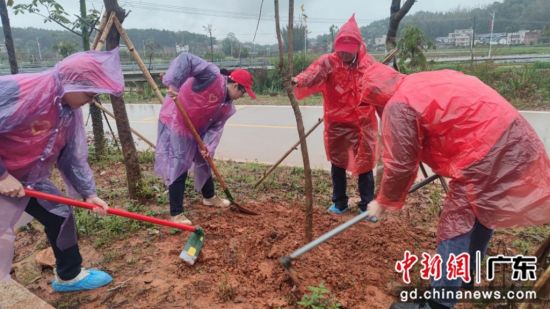 梅州卷烟厂志愿服务人员在梅西镇罗墩村春天广场植树。洪榆洼 摄
