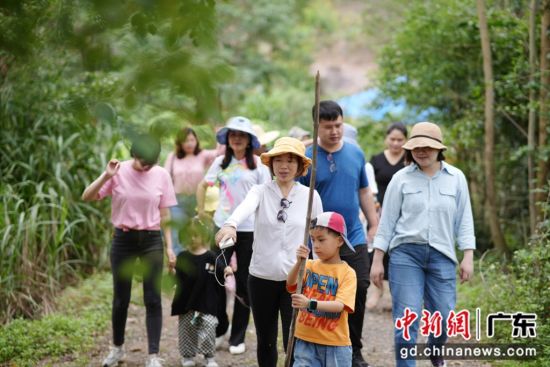 图为华南师大惠州校友会在广东惠州云霞谷举行植树活动。 作者 华南师大广东惠州校友会供图