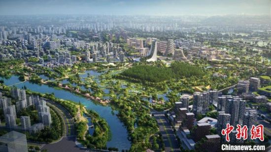 广东顺德“鹭鸟天堂”扩容至百公顷 打造湿地公园——我国新闻网·广东