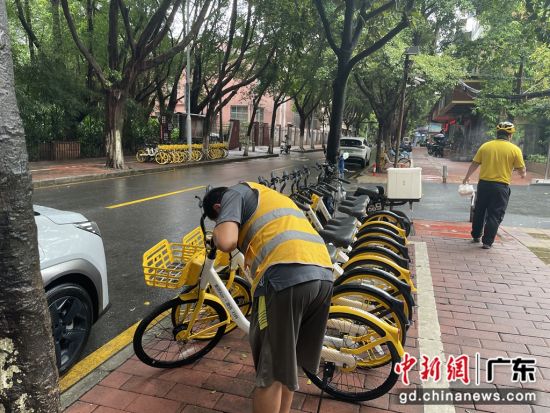 应对台风“泰利”广州开展共享单车风险点巡查