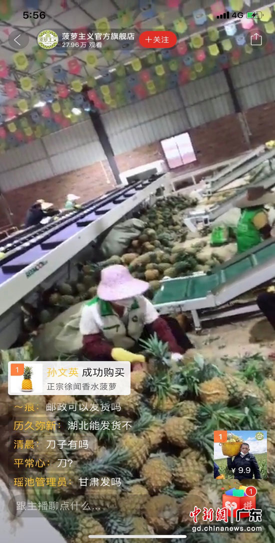 30万人拼多多围观徐闻县长做“吃播”：疫情难阻菠萝热卖 两小时售罄15万斤