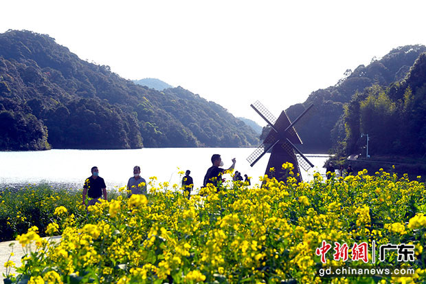 游客到廣州石門國家森林公園踏青賞花。中新社記者 姬東 攝