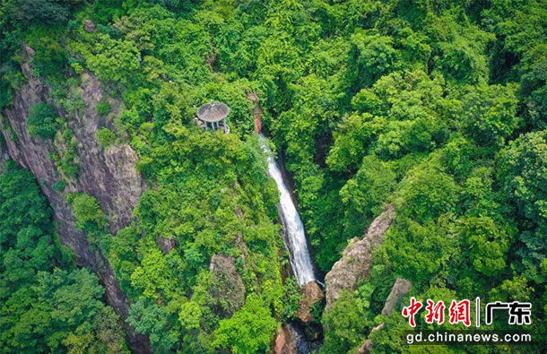 作为广东四大名山之一，西樵山有着良好的森林自然生态环境