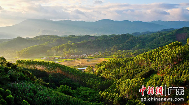 皂幕山位于广东省佛山市高明区，被称为“佛山第一峰”
