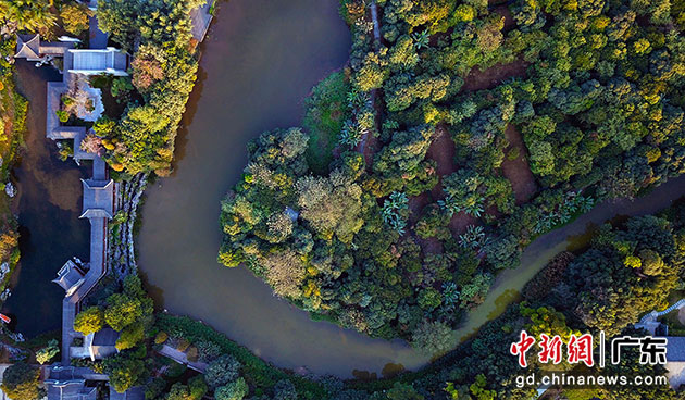 广州海珠国家湿地公园河清岸绿。中新社记者 姬东 摄