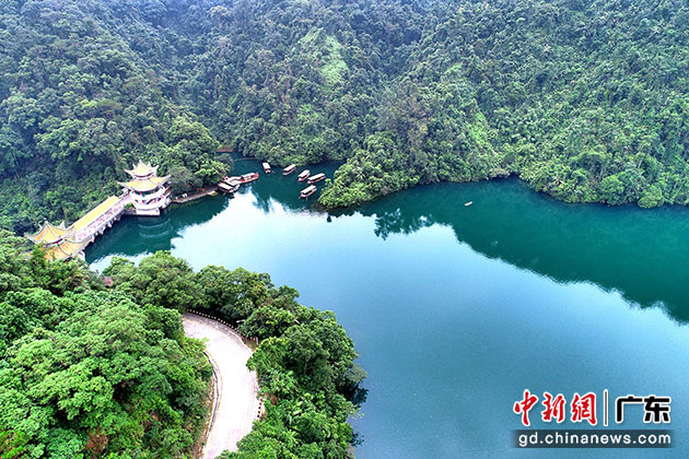 肇庆鼎湖山国家级自然保护区绿水青山迷人眼。中新社记者 何俊杰 摄
