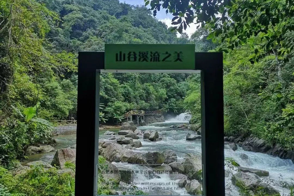 　广东天井山：山谷溪流之美
