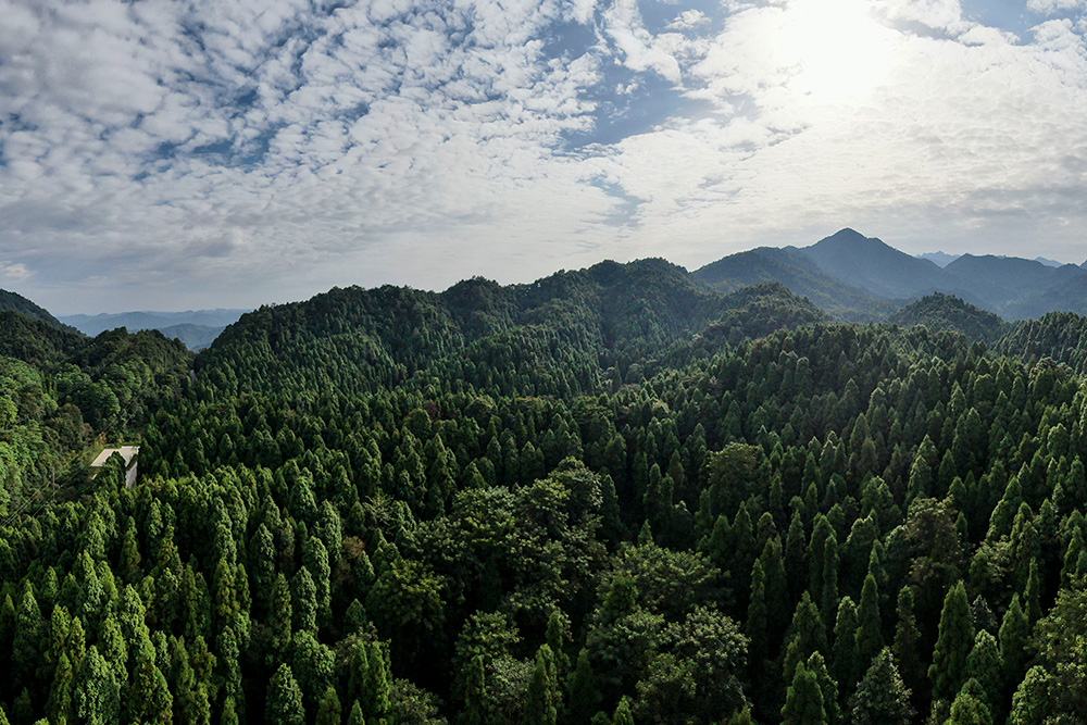 　走进南岭国家公园（拟建）天井山区域：森林覆盖率达97.6%