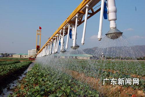 广东惠州农民研发轨道式自动喷灌设备(图)