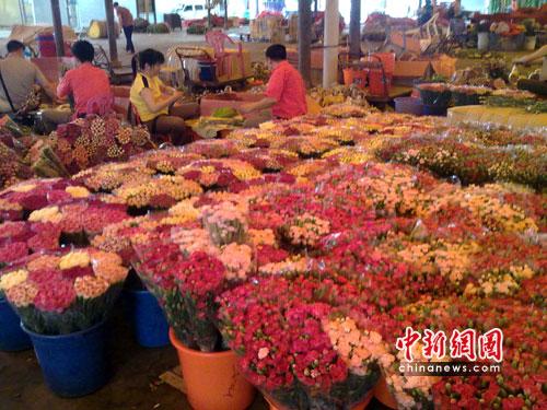 母亲节将至 广州花卉市场康乃馨升价成主调(图