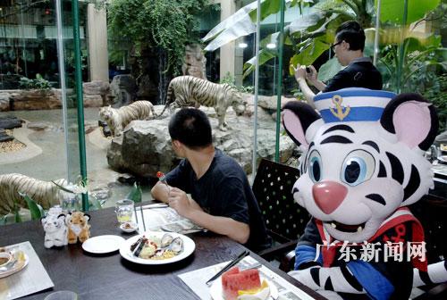 广州长隆酒店白虎自助餐开业 顾客边品美食边