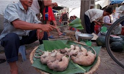 柬埔寨蜘蛛大餐!盘点全球让人胆寒的特色小吃