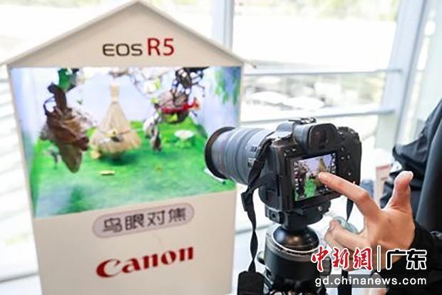 广州摄影爱好者体验佳能全画幅EOS R5专微相机。主办方供图
