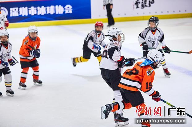 小球员在比赛中。 深圳市冰球协会 供图