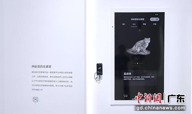 方便祁连山巡护员调查雪豹情况的数据平台。 腾讯 供图