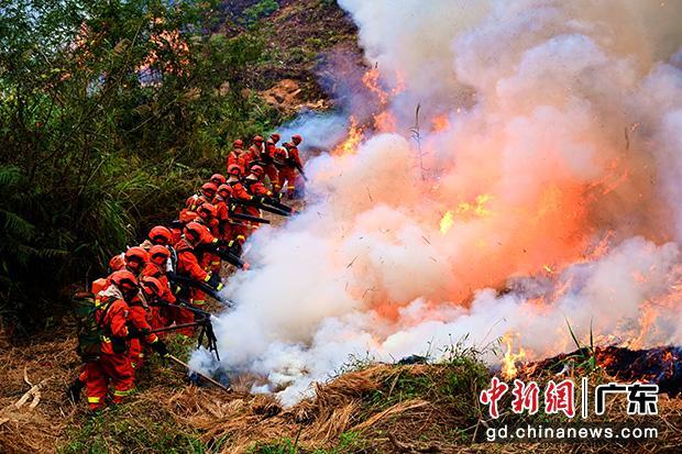 驻防队员采取“强攻推进”战术扑打火线 （官晨峰 摄影）