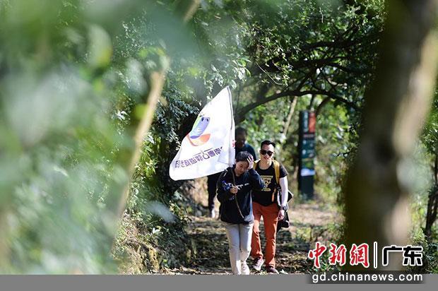 2022南粤古驿道徒步活动在广州从化举行　赛事主办方供图
