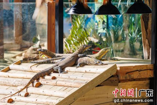 广东长隆集团以科技创新守护野生动植物