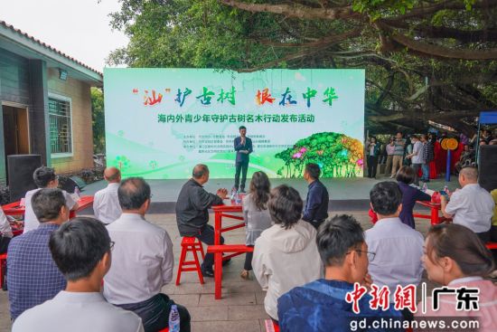 2024年“‘汕’护古树根在中华”——海内外青少年守护百年古树行动30日在广东汕头启动。汕外宣供图